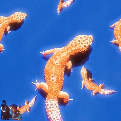 Stress Breeding (feat. Unc D & Thin Thicket) - Single