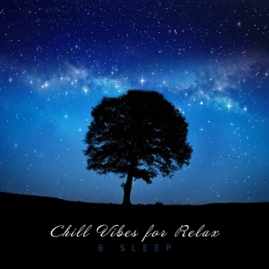 Chill Vibes for Relax & Sleep