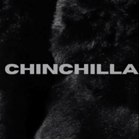 Chinchilla (feat. illy - Ace) - Single - Lori Lanez