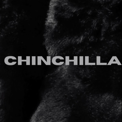Chinchilla (feat. illy - Ace) - Single