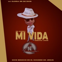 Mi Vida - Single - Ninsitow Joker