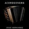 Acordeonero - Single
