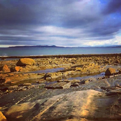 I Apologise - Single