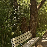 a nice place to cry (feat. LoseMyGrip & Ashleigh Hartley) - Single - Noah2000