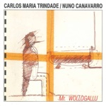 Carlos Maria Trindade & Nuno Canavarro - The Truth