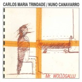 Nuno Canavarro - Blu Terra