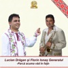 Parca Acuma Vad In Fata (feat. Florin Ionas Generalul) - Single