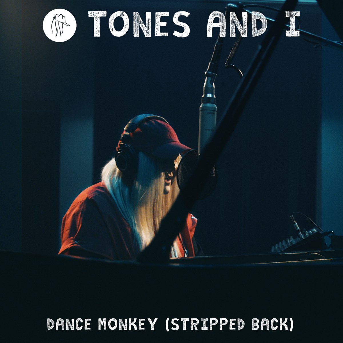 Песня dance monkey tones