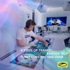 A State Of Trance (Outro) [Mixed] cover art