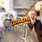 Dada Aala Hooka - Gagan Haryanvi lyrics