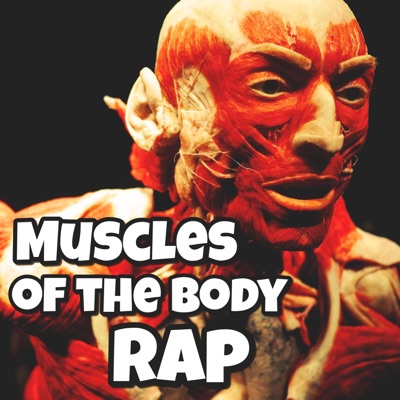 Muscles of the Body Rap - Single