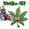 Esquina 420 - LDMW lyrics