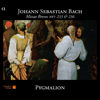 Bach: Missae Breves BWV 233 & 236 - Pygmalion