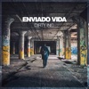 Enviado Vida - What Did You Feel (feat. DASHANIKON)