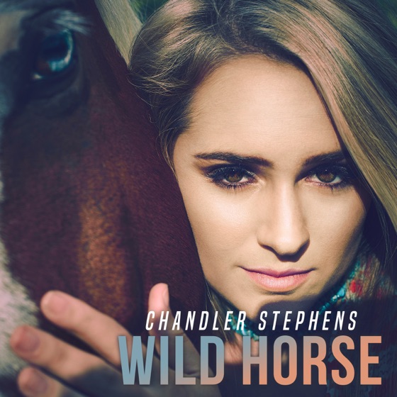 Cover artwork for Wild Horse