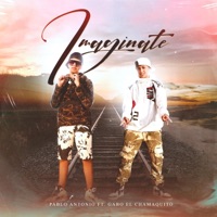 Imaginate (feat. Gabo el chamaquito) - Single - Pablo Antonio