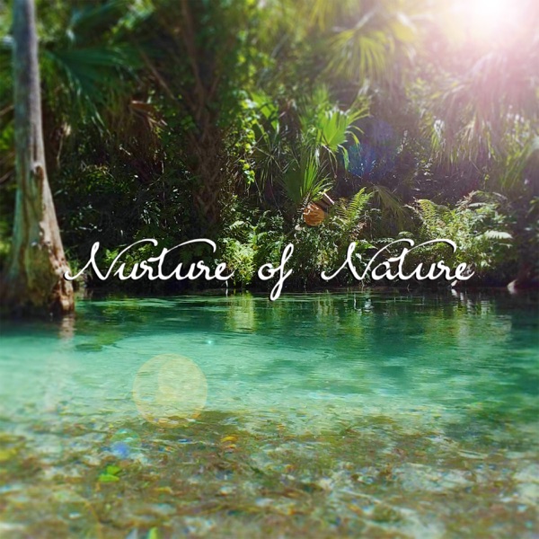 Sounds of Summer