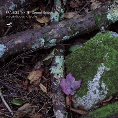 Walk Through No. 2 "Resonant Landscape"-thumbnail