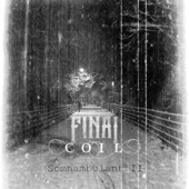 Final Coil - Waste Yr Time (Quills & Trees)