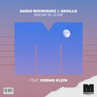 Snow in June (feat. Cosmo Klein) - Single by Dario Rodriguez & SKIIILLO album reviews, ratings, credits