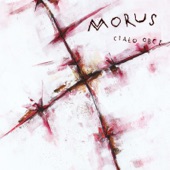 Morus - Zaraza