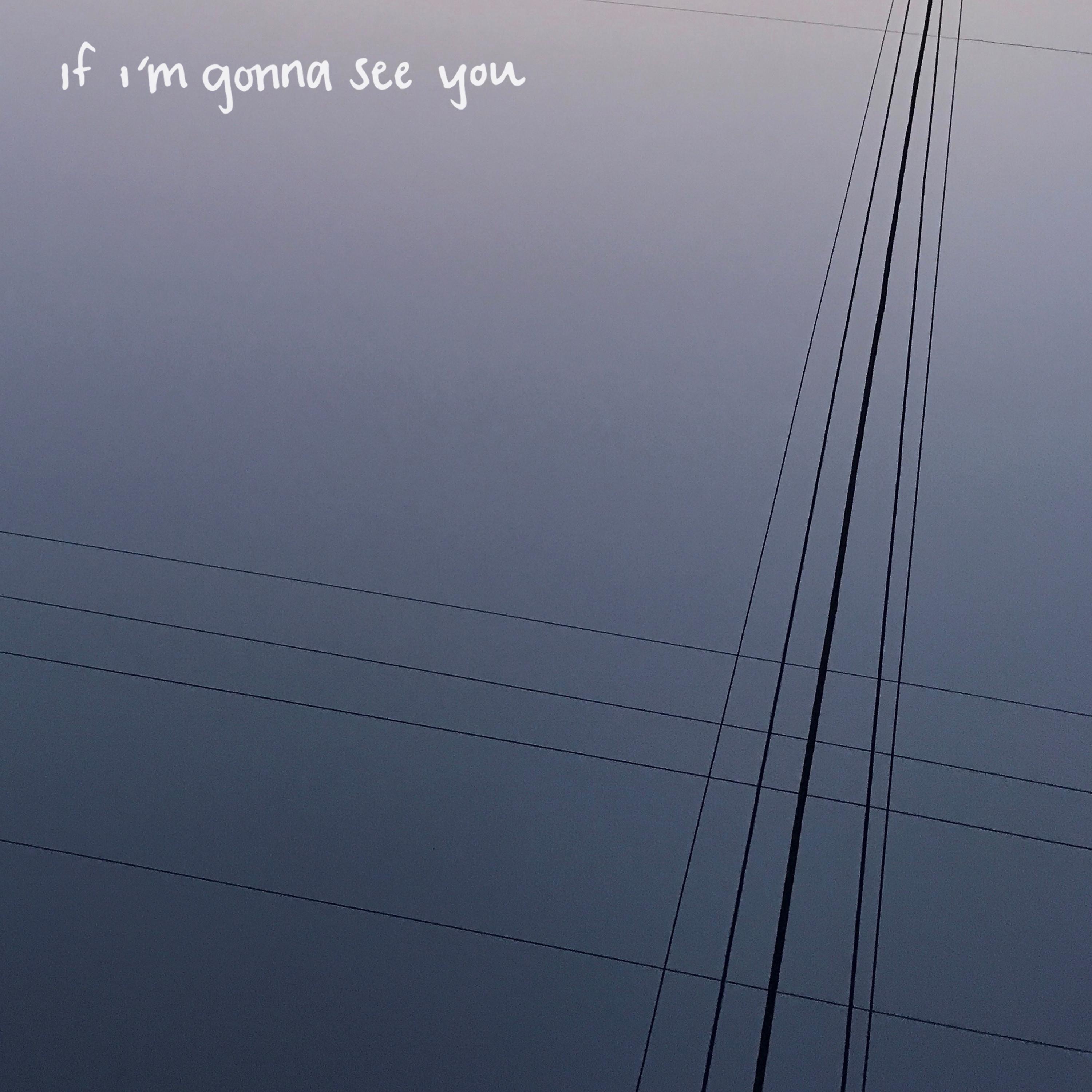 If I'm Gonna See You