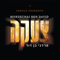 צעקה - Mordechai Ben David