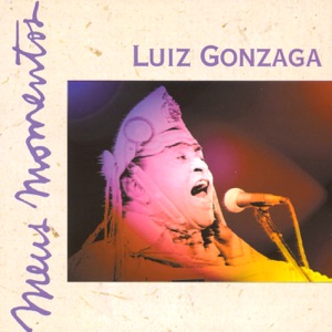 Luiz Gonzaga - Meus Momentos
