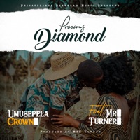 Precious Diamond (feat. Mr. Turner) - Single - Umusepela Crown