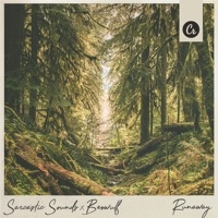 Runaway - Single - Sarcastic Sounds, Beowulf & Mishaal Tamer