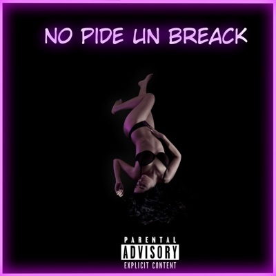 No Pide un Breack - Single