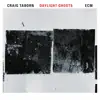 Craig Taborn - The Great Silence