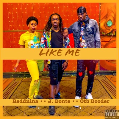 Like Me (feat. OTB Dooder & ReddNina) - Single
