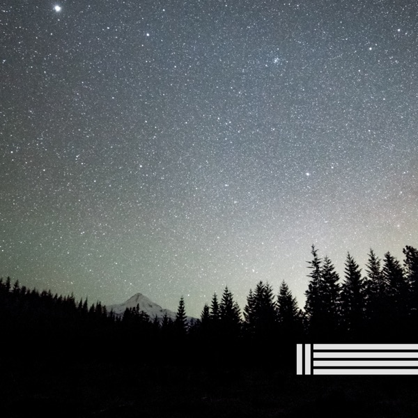 Night Sounds, Night Insects (Loopable)