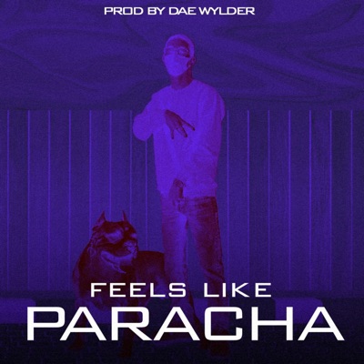feel like paracha - Single