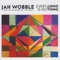 Everything Is No Thing - Jah Wobble & The Invaders of the Heart lyrics