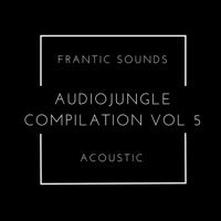 Frantic Sounds Acoustic - Martin E. Insaurgarat