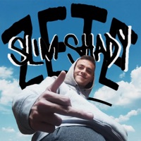 Slim Shady - Single - Zete