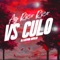 Ay Rico Rico Vs Culo artwork