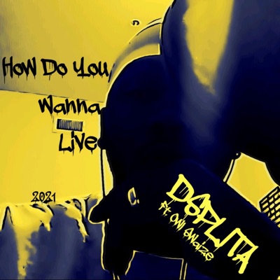 How You Wanna Live (feat. Owl Swaize) [Live] - Single