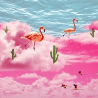 Lluvia - Single - Kidsol