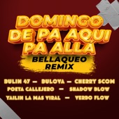 Domingo de Pa Aquí Pa Allá (feat. Bulin 47, Yailin la Mas Viral, El Cherry Scom & Poeta Callejero) [Remix] artwork