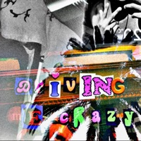 Driving Me Crazy - Single - KingR