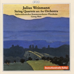 String Quartet in G Major, Op. 147 (Arr. G. Mais for String Orchestra): I. Allegro moderato