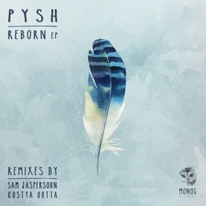 Starkiller (Kostya Outta Remix)