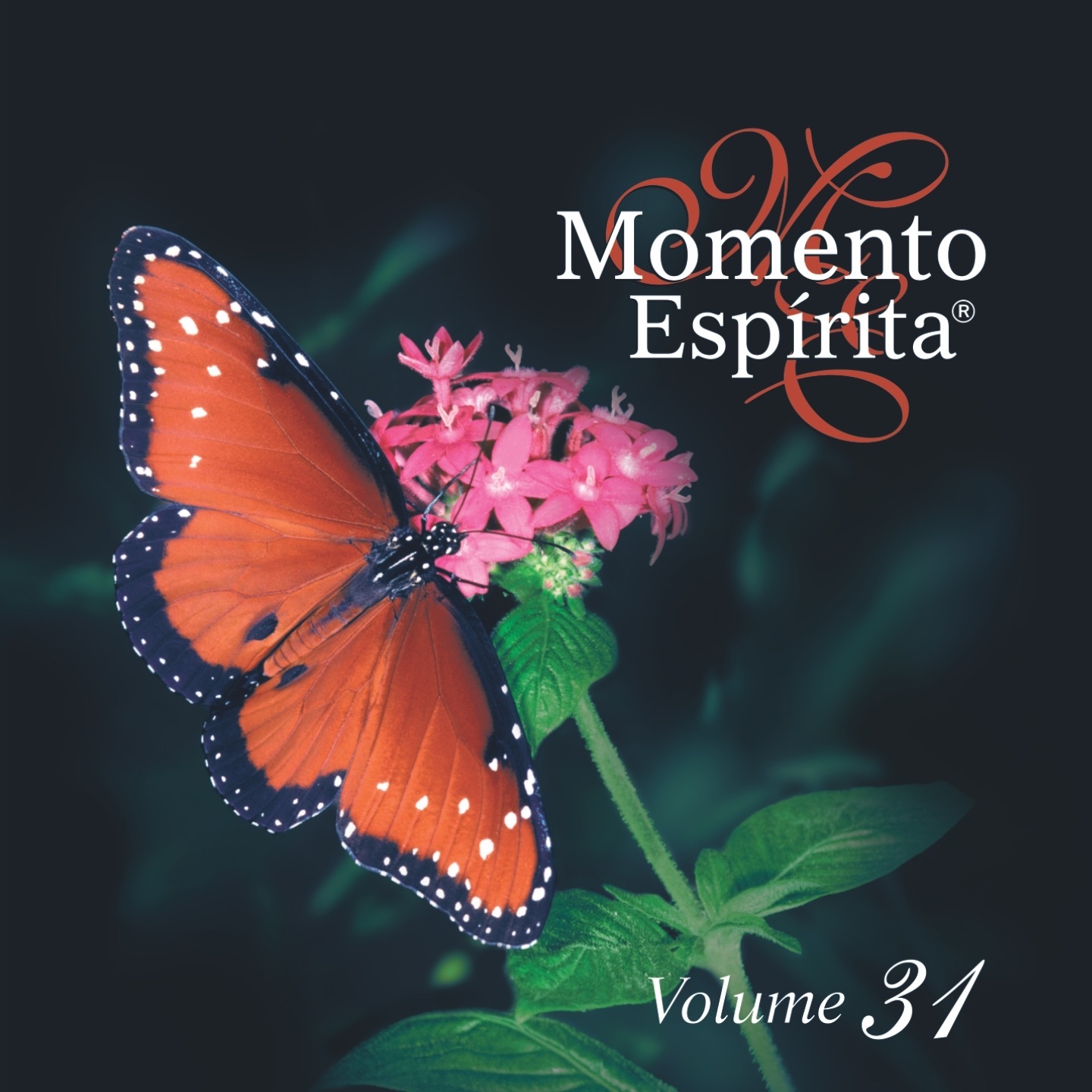 Momento Espírita, Vol. 31