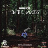 In the Woods artwork