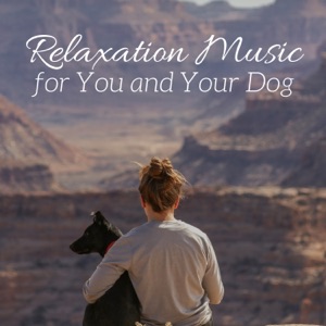 Relaxation Music for You and Your Dog - Zen Pet Relaxing Songs Collection, Pet Therapy