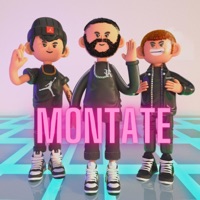 Montate (feat. Dosonek & Easykid) - Single - Mvti