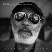 John Blues Boyd - Why Did You Take the Shot